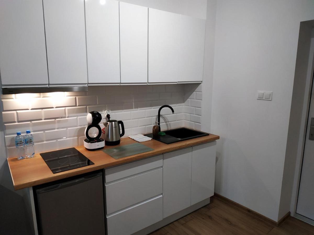 לודז' Theapartments Radwanska מראה חיצוני תמונה